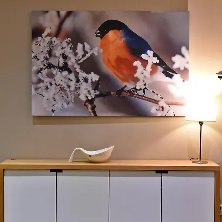 Unna Mannu Apartment Levi