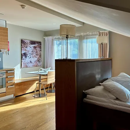 Apartment Unna Mannu Levi